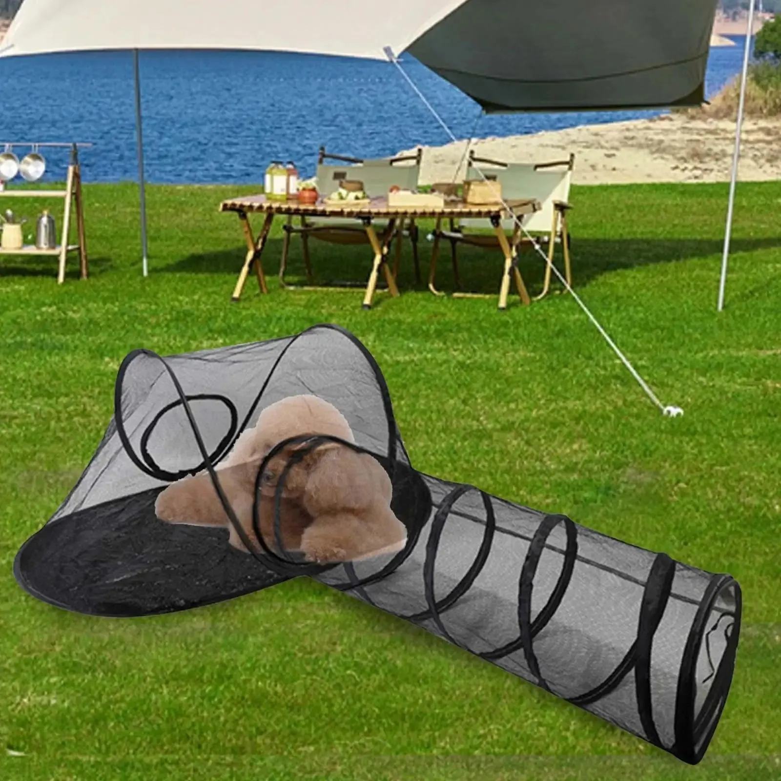 2 in 1 Cat Tent Playhouse