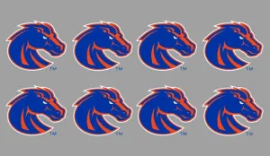 8 Piece Bronco Logo Officially Licensed Waterless Peel & Stick Temporary Spirit Tattoos