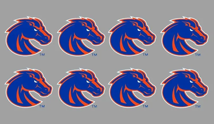8 Piece Bronco Logo Officially Licensed Waterless Peel & Stick Temporary Spirit Tattoos
