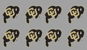 8 Piece Team Logo Officially Licensed Water Based Peel & Stick Temporary Spirit Tattoos