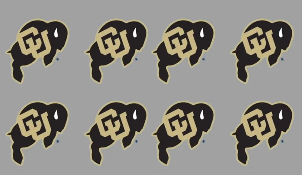 8 Piece Team Logo Officially Licensed Water Based Peel & Stick Temporary Spirit Tattoos