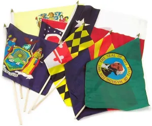 AES Wholesale Lot of 50 States Set 6x9 6"x9" Stick Flag Wood Staff