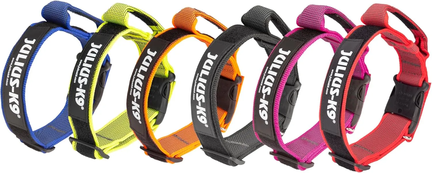 Color & Gray Collar with Handle, Safety Lock and Interchangeable Patch, 1.57 in (15-20.9 in), Black-Gray