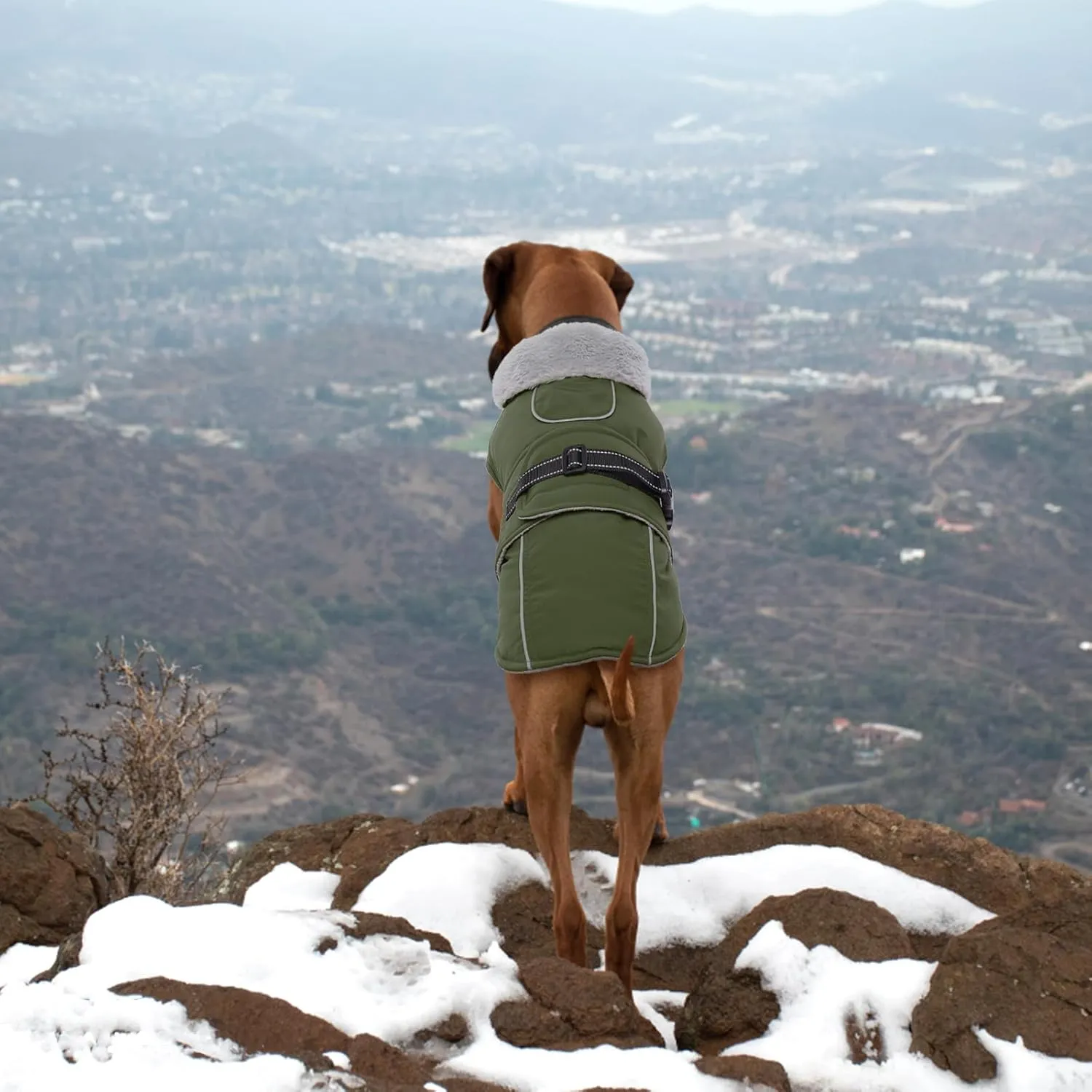 Lelepet Warm Dog Coat Reflective Fleece Vest Waterproof Dog Jacket with Adjustable Buckle Hook & Loop Windproof Cold Weather Coats for Small Medium Large Dogs, Army Green, M