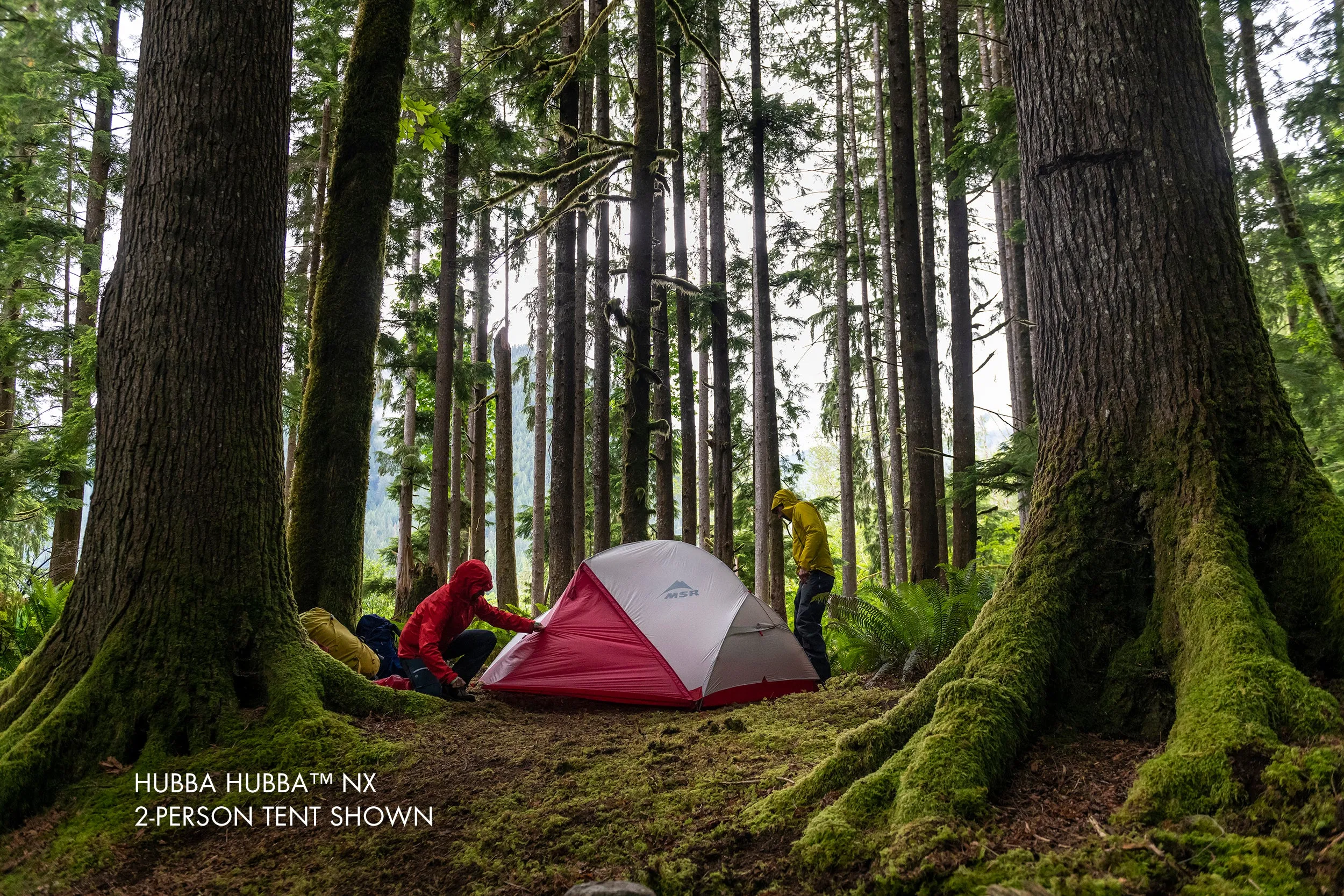 MSR Mutha Hubba NX Tent V2