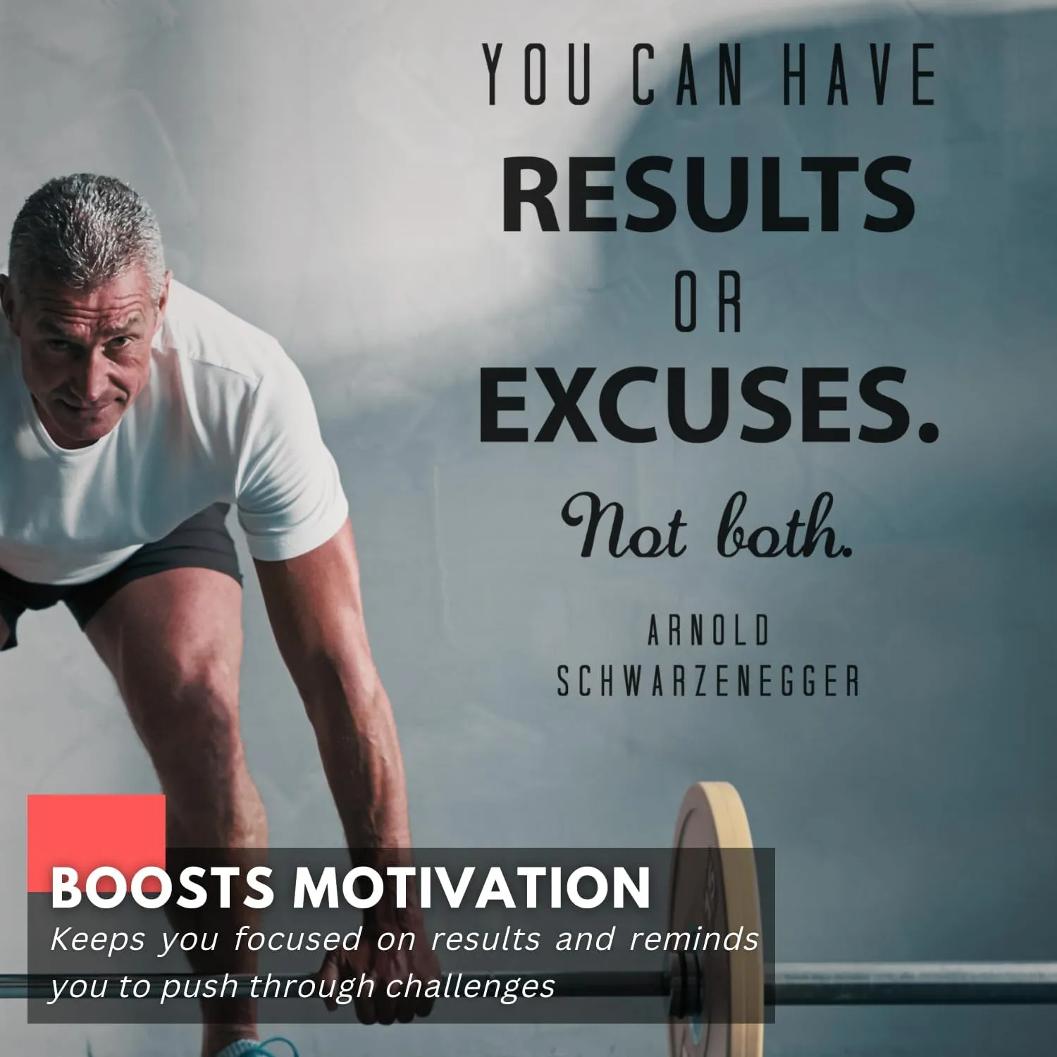 My Vinyl Story - Arnold Schwarzenegger You Can Have Results Wall Decal - Motivational Sticker Quote, Inspirational Vinyl Art Decor for Home Gym, Fitness, Workout, Removable (Black, 17x25 inches)