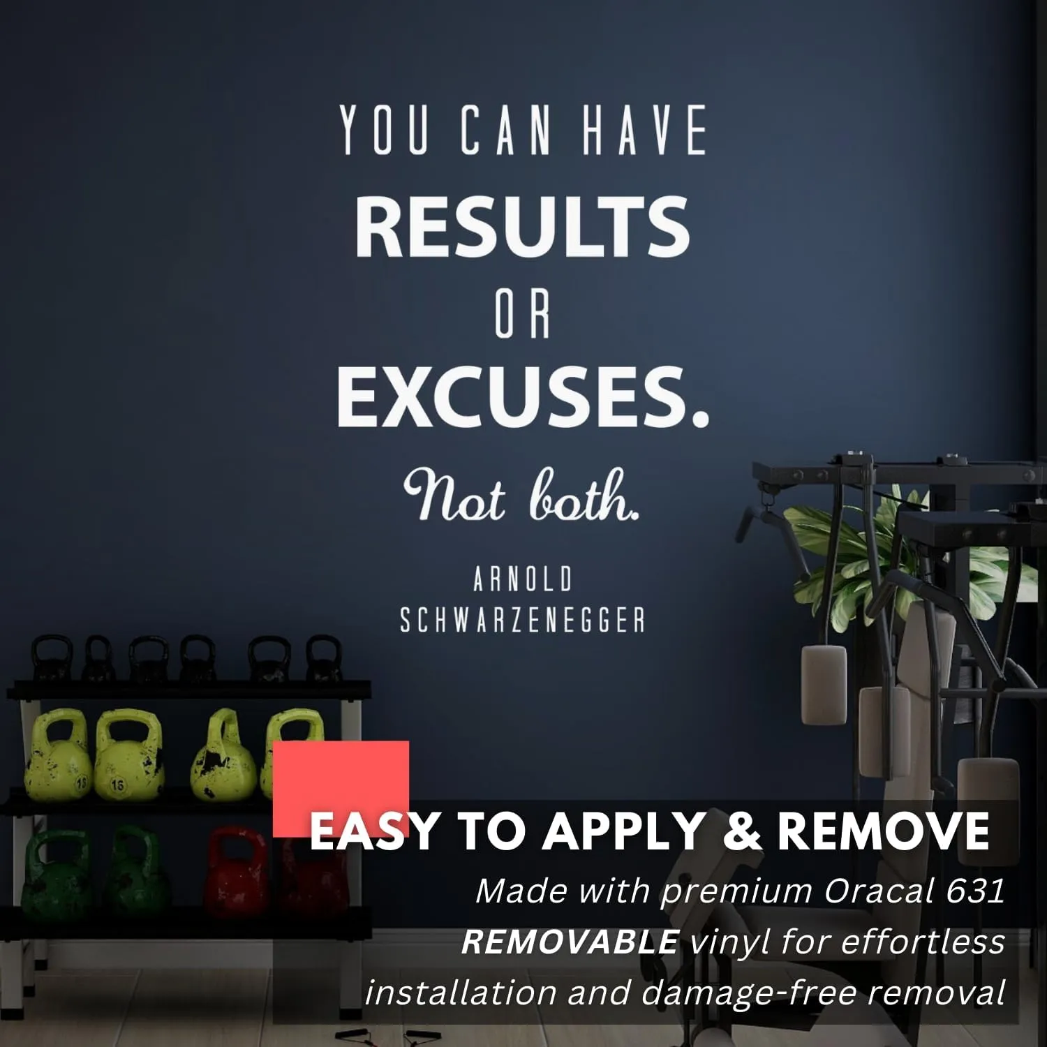 My Vinyl Story - Arnold Schwarzenegger You Can Have Results Wall Decal - Motivational Sticker Quote, Inspirational Vinyl Art Decor for Home Gym, Fitness, Workout, Removable (Black, 17x25 inches)