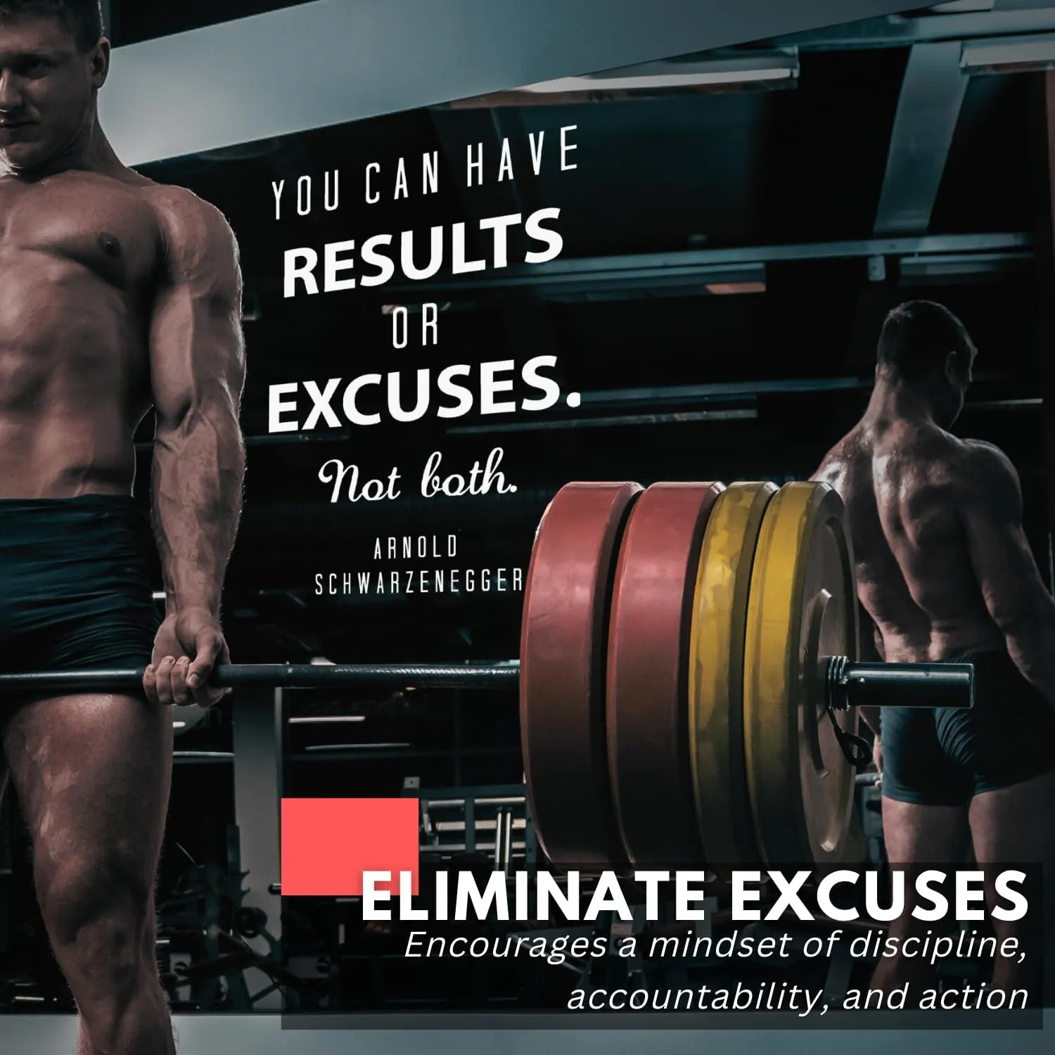 My Vinyl Story - Arnold Schwarzenegger You Can Have Results Wall Decal - Motivational Sticker Quote, Inspirational Vinyl Art Decor for Home Gym, Fitness, Workout, Removable (Black, 17x25 inches)