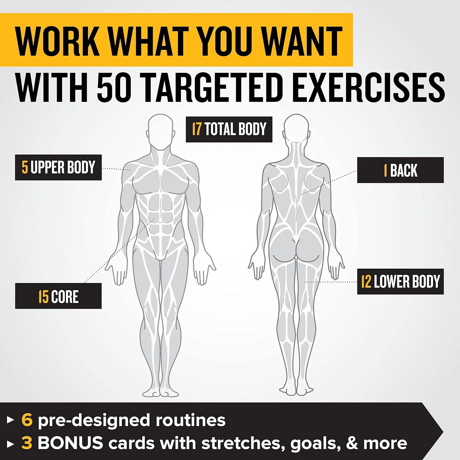 NewMe Fitness Bodyweight Workout Cards, Instructional Fitness Deck for Women & Men, Beginner Fitness Guide to Training Exercises at Home or Gym (Bodyweight, Vol 2)
