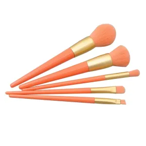 Pcs Eye Brush Handle Brush Makeup Plastic Paint Brush Set 5 Powder Brush Setting Spray (Orange,one size)
