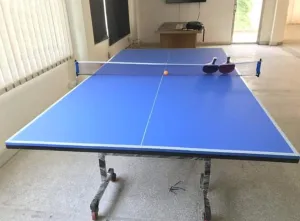 Premium Table Tennis Bundle