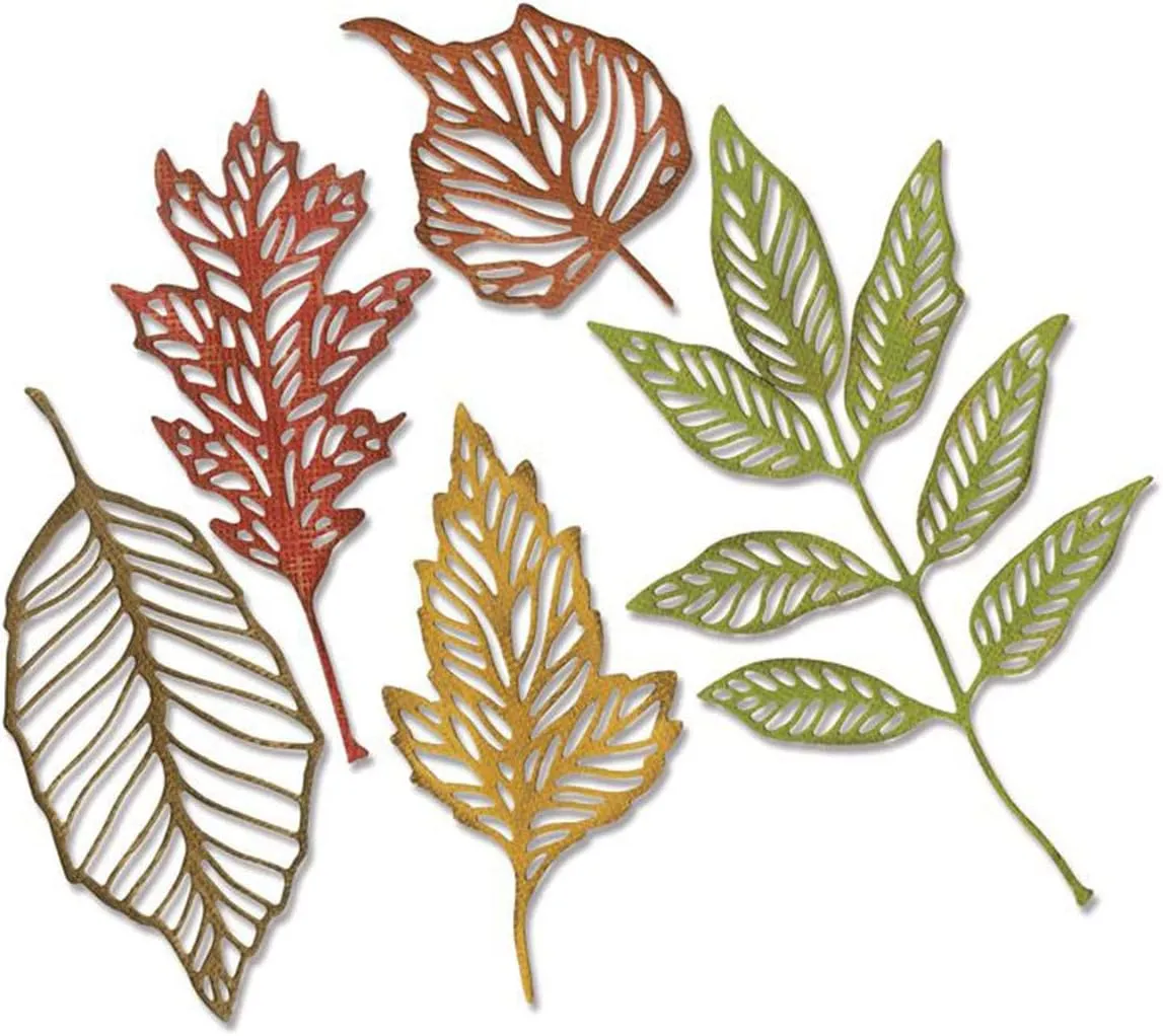 Sizzix TH Thinlits Skeleton Leaves, None